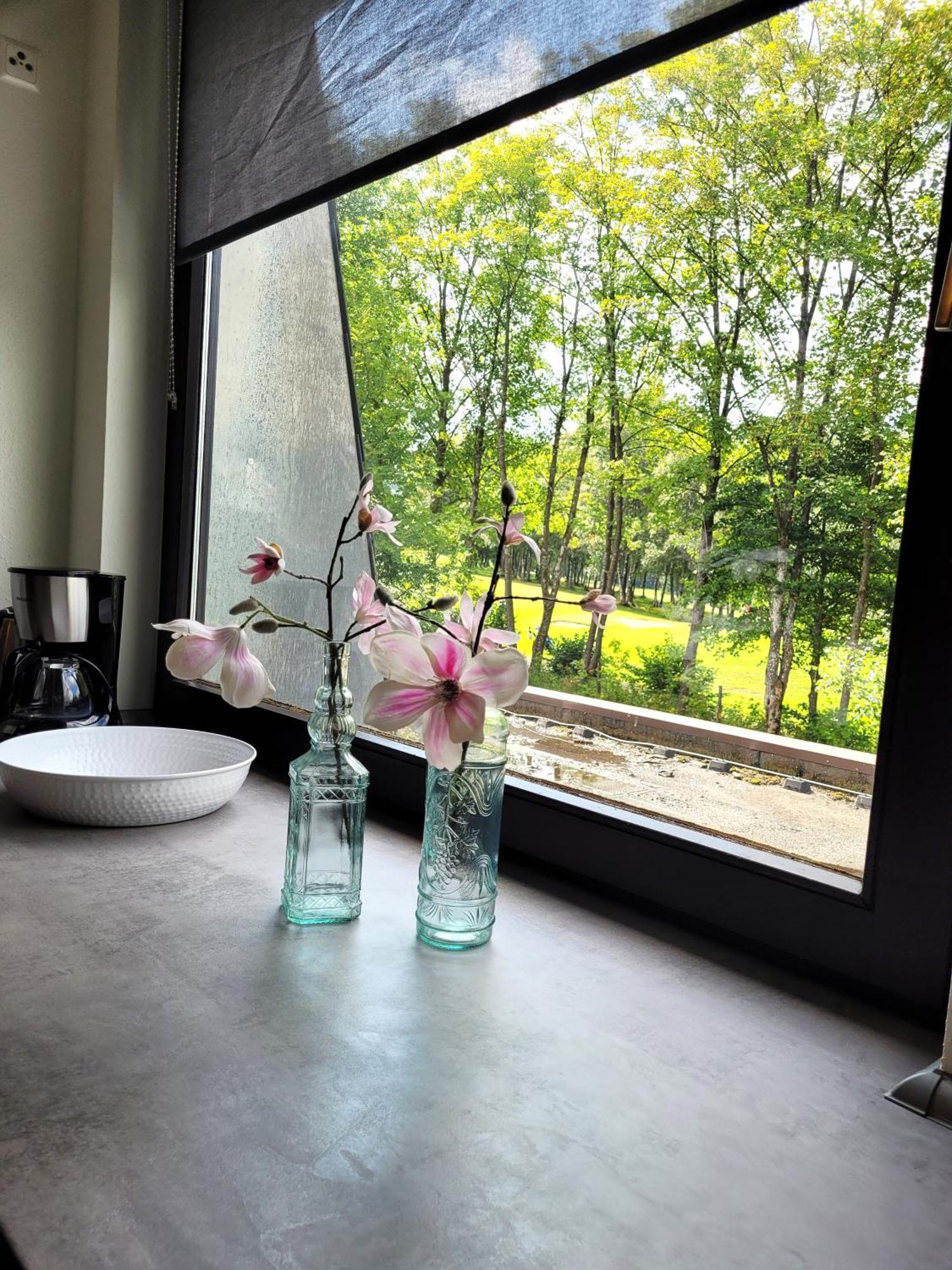 Winterberg Appartement 21097 ภายนอก รูปภาพ